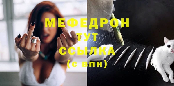 шишки Аркадак