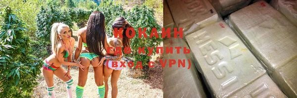 шишки Аркадак