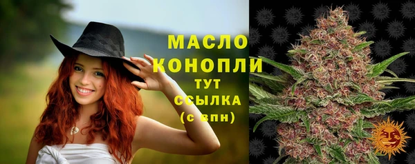 шишки Аркадак
