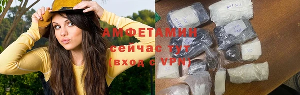 шишки Аркадак