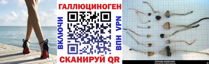 Псилоцибиновые грибы мухоморы  Пыть-Ях 